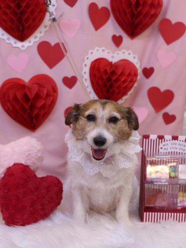 20240220こはるちゃん